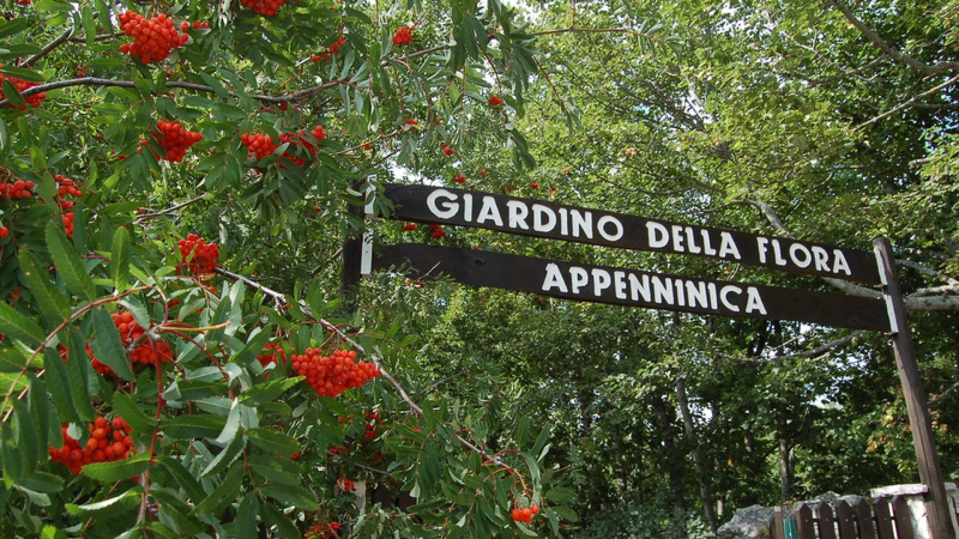 Capracotta: si inaugura la mostra “Profumi e colori del Giardino” presso il Giardino della Flora Appenninica.